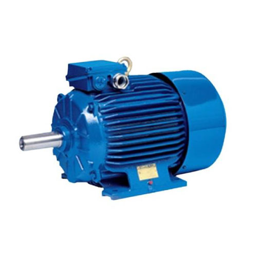 Elektrim Cantoni IE1 Motor