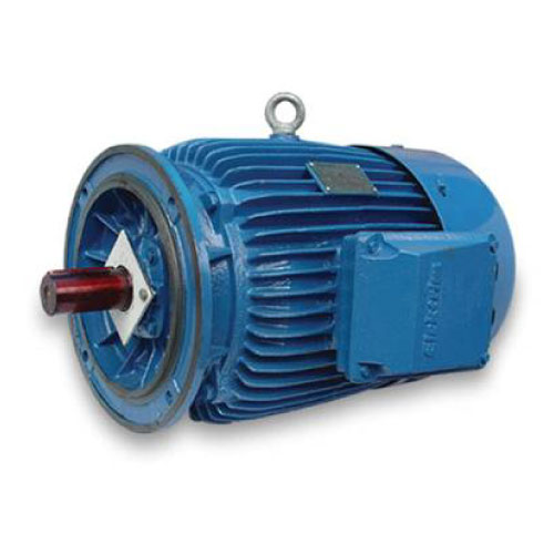 Elektrim Cantoni IE1 Motor